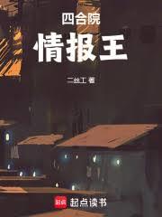 四合院情报王