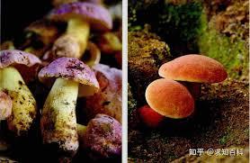 重回1980渔猎发家