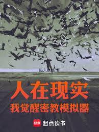 人在现实，我觉醒密教模拟器
