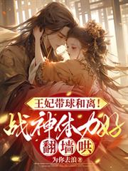 王妃带球和离！战神体力好翻墙哄