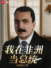 我在非洲当总统