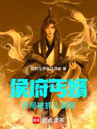 侯府丐婿，开局被抓入洞房