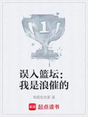 篮途闪耀，璀璨风云