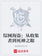 综网海盗：从收集者到死神之眼