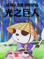 综网:从血魔德鲁伊到光之巨人