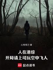 人在港综,开局请上司玩空中飞人