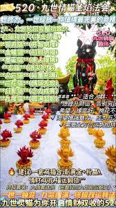 我必须立刻请神