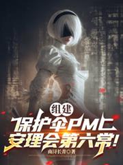 组建保护伞PMC，安理会第六常