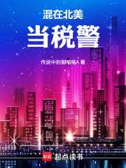 混在北美当税警