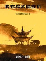 我在综武能挂机