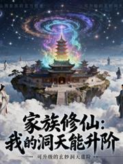 家族修仙：我的洞天能升阶