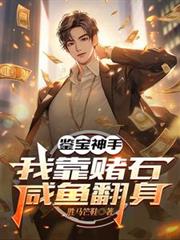 鉴宝神手，我靠赌石咸鱼翻身