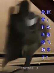 绝区零：什么叫盾牌飞过来了？
