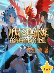 开局召唤蕾姆，在海贼靠扬名变强