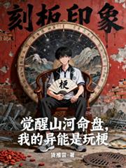 觉醒山河命盘，我的异能是玩梗