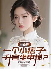 官途：一个小痞子，升官坐电梯