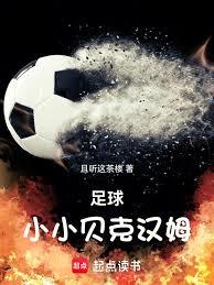 足球：小小贝克汉姆