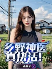 乡野神医真快活！