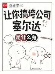 让你搞垮公司,塞尔达是什么鬼?