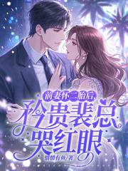 冷婚三年你不爱，二嫁大佬宠上天