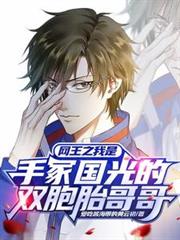 网王之我是手冢国光的双胞胎哥哥