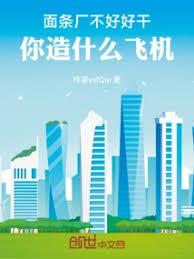 面条厂不好好干，你造什么飞机