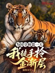 为国守林第一天,我徒手拎金渐层