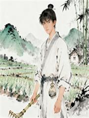 金丹家族里的词条修士