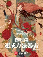 极武道君，速成万法暴击