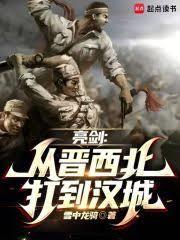 亮剑：从晋西北开始