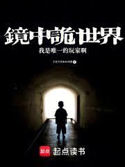 镜中诡世界,我是唯一的玩家啊