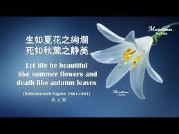 这个男神过于完美