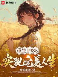 重生1985,实现完美人生