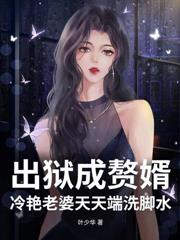 问鼎：从选调警员到权力巅峰