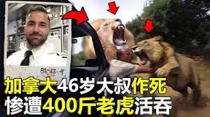 人在末日，向死而生