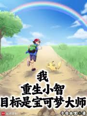 精灵:二周目小智,邻居冠军赤红