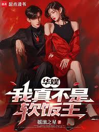 华娱:我真不是软饭王