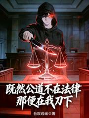 既然公道不在法律，那便在我刀下