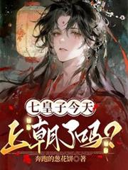 七皇子今天上朝了吗？