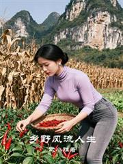 乡野风流人生