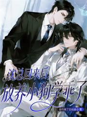 沈总回来后,放养小狗学乖了