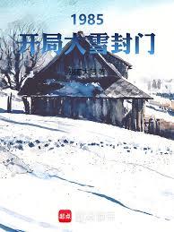 1985:开局大雪封门