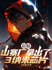 震惊山寨厂拿出了三纳米晶片