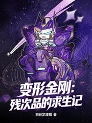 变形金刚：残次品的求生记