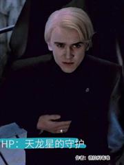 HP:天龙星的守护