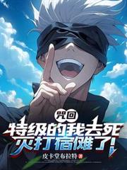 咒回:特级的我去死灭打宿儺了!