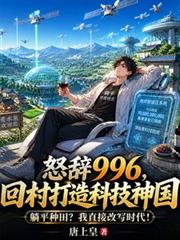 怒辞996,回村打造科技神国