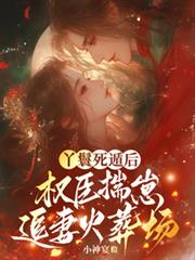 丫鬟死遁后,权臣揣崽追妻火葬场