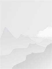 吾斧利否的第5本书