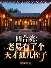 四合院：老易有了个天才孤儿侄子